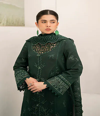 dhanak embroidery suit