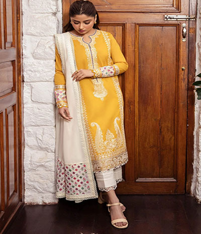 dhanak fabric embroidered