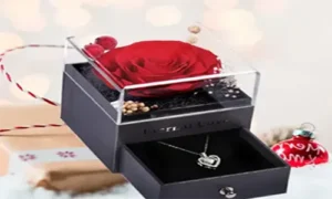 gift set pakistan sasta bazar