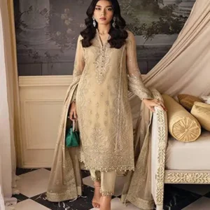 wedding dresses pakistani chiffon 2