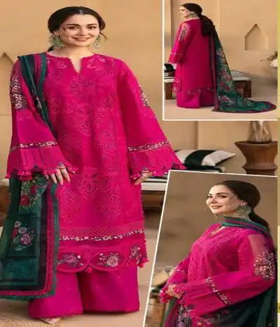 embroidered chiffon dress