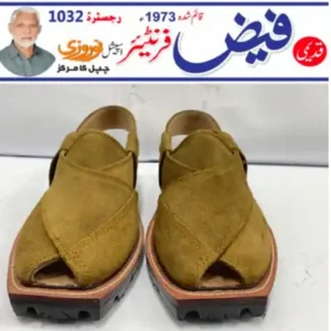 Brown Saber Double Sole Norozi Chappal 3