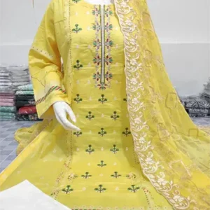 Heavy Embroidery Dresses