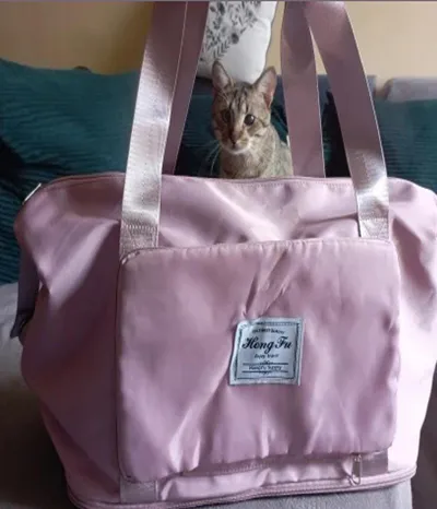 Imported Foldable Girls College & University Bag - Image 3