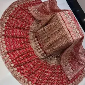 Lehenga Bridal Design Farshi 1
