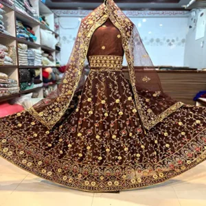 Lehenga Choli Design 2