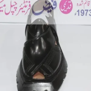 Norozi Chappal Pajaro