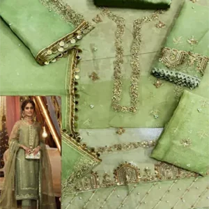 Organza Fabric Online Pakistan 1