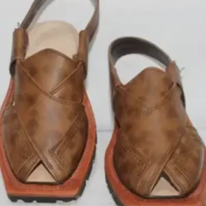 Quetta sadabahar Chappal