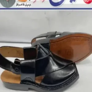 Thela Bullet Sole Chappal Norozi