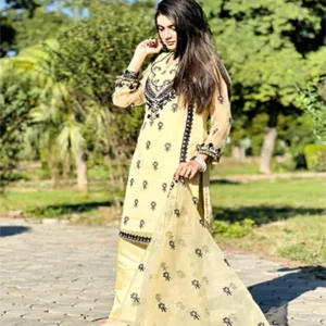 agha noor suits wholesale