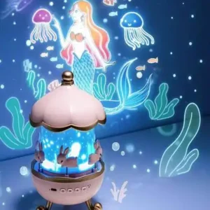 carousel night light room