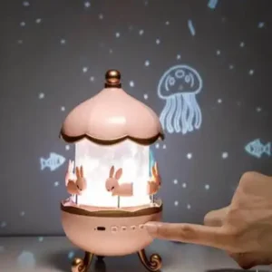 carousel night light room 5 1