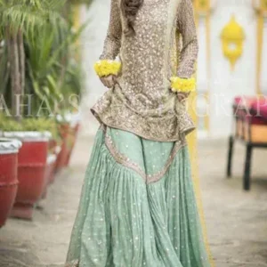 chiffon embroidered dupatta