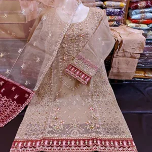 chiffon frock design 2