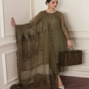 chiffon organza dress pakistani