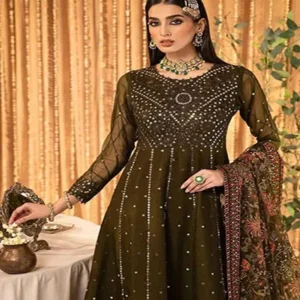 chiffon silk suit 1