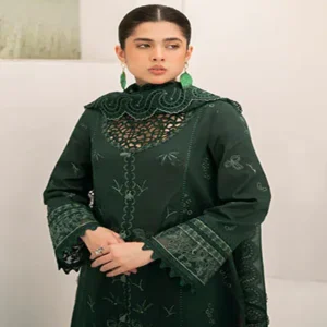 dhanak embroidery suit