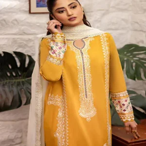 dhanak fabric embroidered