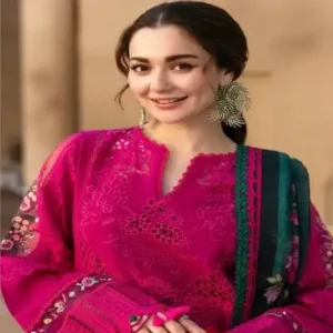 embroidered chiffon dress