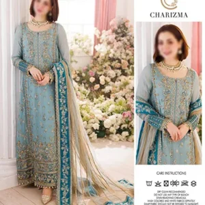 embroidered chiffon suits 1