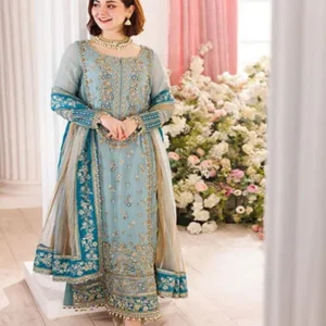 embroidered chiffon suits