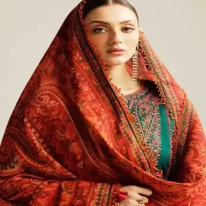 embroidery lawn dress women 3 1