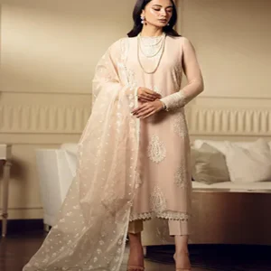 pure chiffon dress 2