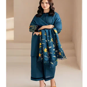 winter dress dhanak 1